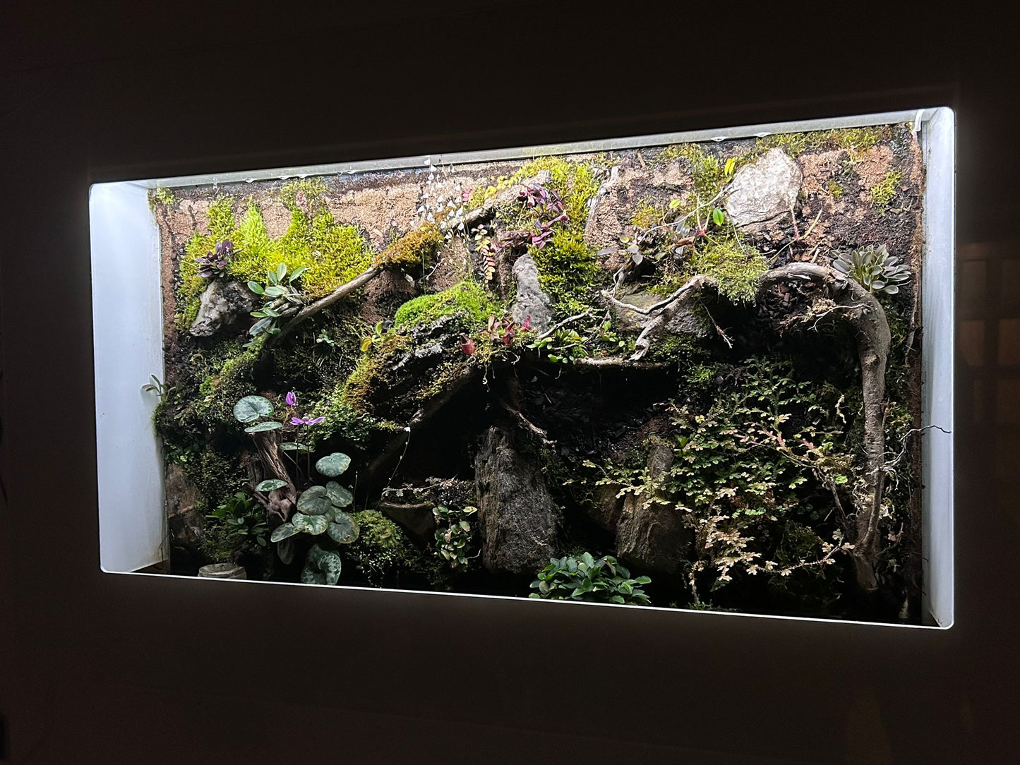 PlantArt 120